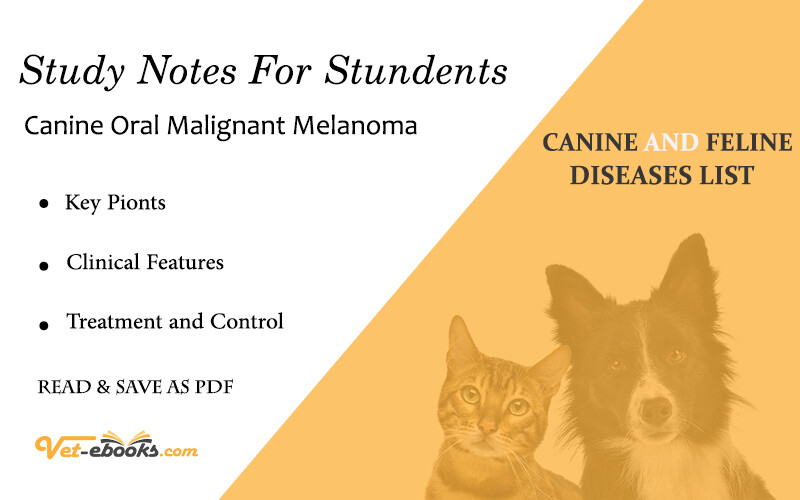 Canine Oral Malignant Melanoma