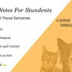 Canine Soft Tissue Sarcomas