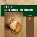 Consultations in Feline Internal Medicine 5th Edition PDF