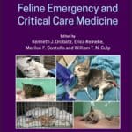Feline Emergency and Critical Care Medicine 2nd Edition
