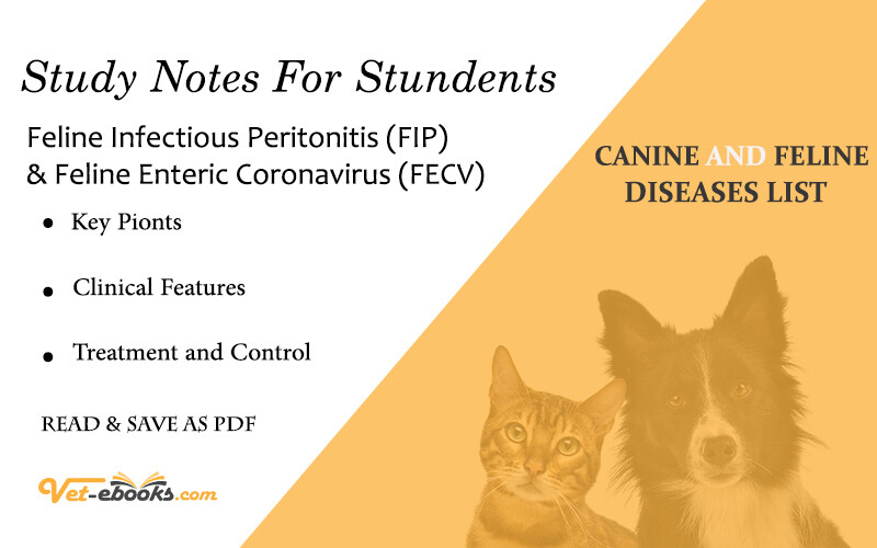 Feline Infectious Peritonitis (FIP) and Feline Enteric Coronavirus (FECV)