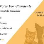 Feline Injection Site Sarcomas