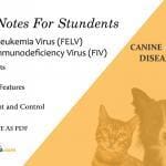 Feline Leukemia Virus (FELV) & Feline Immunodeficiency Virus (FIV)