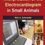 Interpretation of the Electrocardiogram in Small Animals
