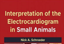 Interpretation of the Electrocardiogram in Small Animals
