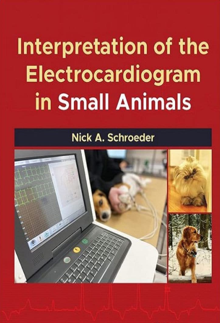 Interpretation Of The Electrocardiogram In Small Animals Pdf Download