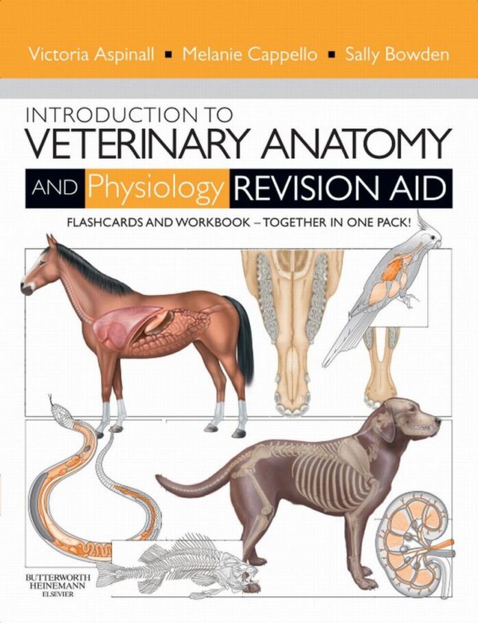 introduction-to-veterinary-anatomy-and-physiology-flashcards Introduction to Veterinary Anatomy and Physiology Flashcards