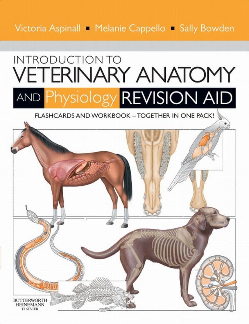 Introduction To Veterinary Anatomy And Physiology Flashcards Pdf Download