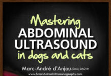 Mastering Abdominal Ultrasound in Dogs and Cats Videos