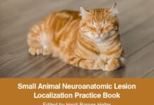 Small Animal Neuroanatomic Lesion Localization Practice Book