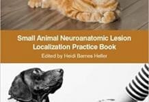 Veterinary Neurology Books PDF | Vet eBooks