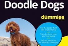 Doodle Dogs for Dummies PDF