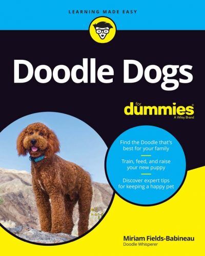 Doodle Dogs for Dummies PDF