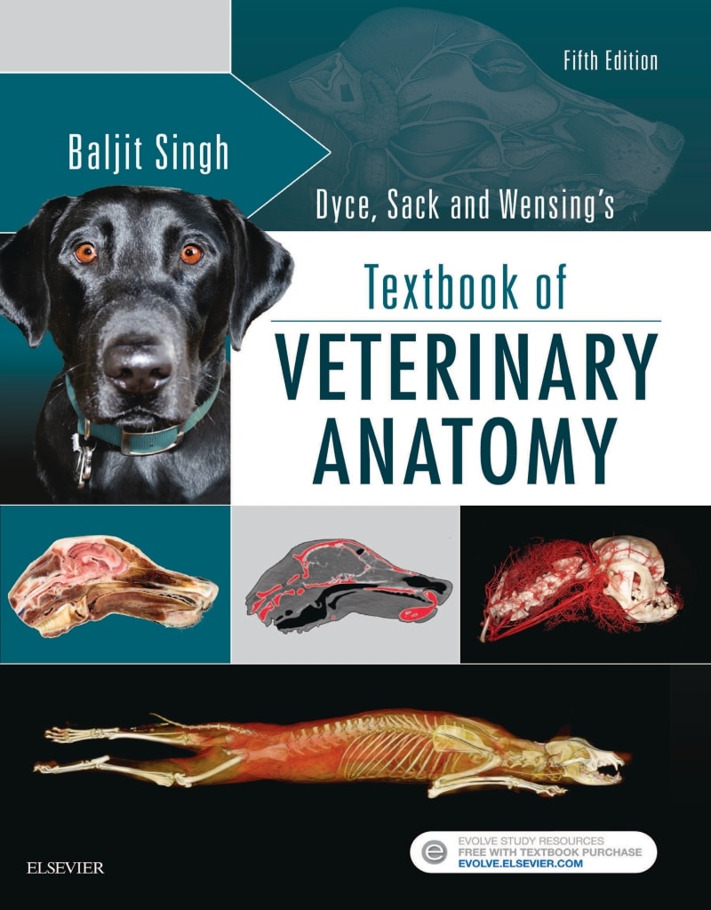 Dyce, Sack And Wensing’s Textbook Of Veterinary Anatomy, 5Th Edition Pdf Download