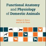 Functional Anatomy and Physiology of Domestic Animals 5th Edition