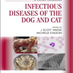 Infectious Diseases of the Dog and Cat: A Color Handbook
