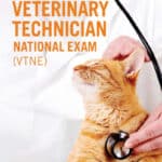 Master the Veterinary Technician Exam (VTNE)