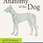 Miller and Evans' Anatomy of the Dog 5th Edition