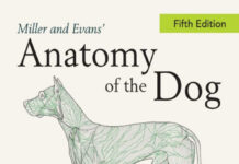 Miller And Evans' Anatomy Of The Dog 5Th Edition