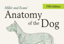 Miller And Evans' Anatomy Of The Dog 5Th Edition