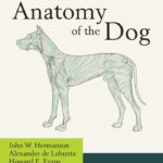 Miller and Evans' Anatomy of the Dog 5th Edition