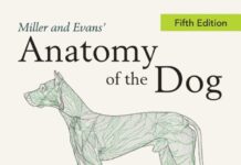 Miller and Evans' Anatomy of the Dog 5th Edition