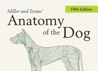 Miller And Evans' Anatomy Of The Dog 5Th Edition