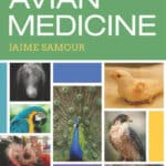 Avian Medicine 3rd Edition PDF Download