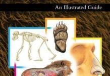 Mammal Anatomy: An Illustrated Guide pdf