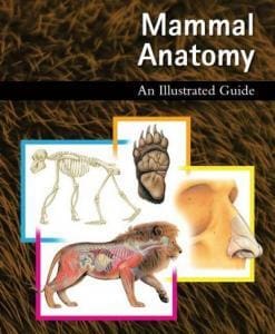 Mammal Anatomy: An Illustrated Guide pdf