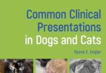 Common Clinical Presentations in Dogs and Cats PDF Download