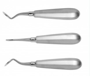 Veterinary Surgical Instruments List: Names and Pictures