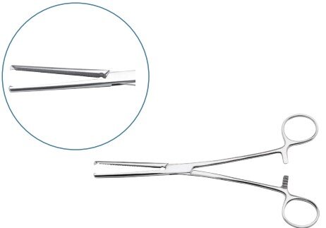 Veterinary Surgical Instruments List: Names and Pictures