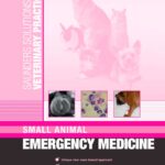 Saunders Solutions in Veterinary Practice: Small Animal Emergency Medicine