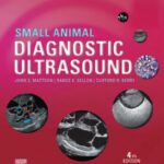 Small Animal Diagnostic Ultrasound 4th Edition