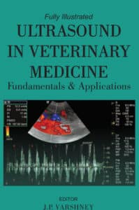 Ultrasound in Veterinary Medicine Fundamentals and Applications PDF