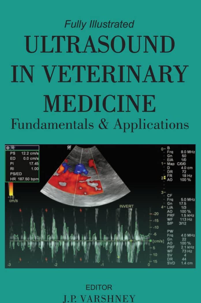 Ultrasound in Veterinary Medicine Fundamentals and Applications PDF