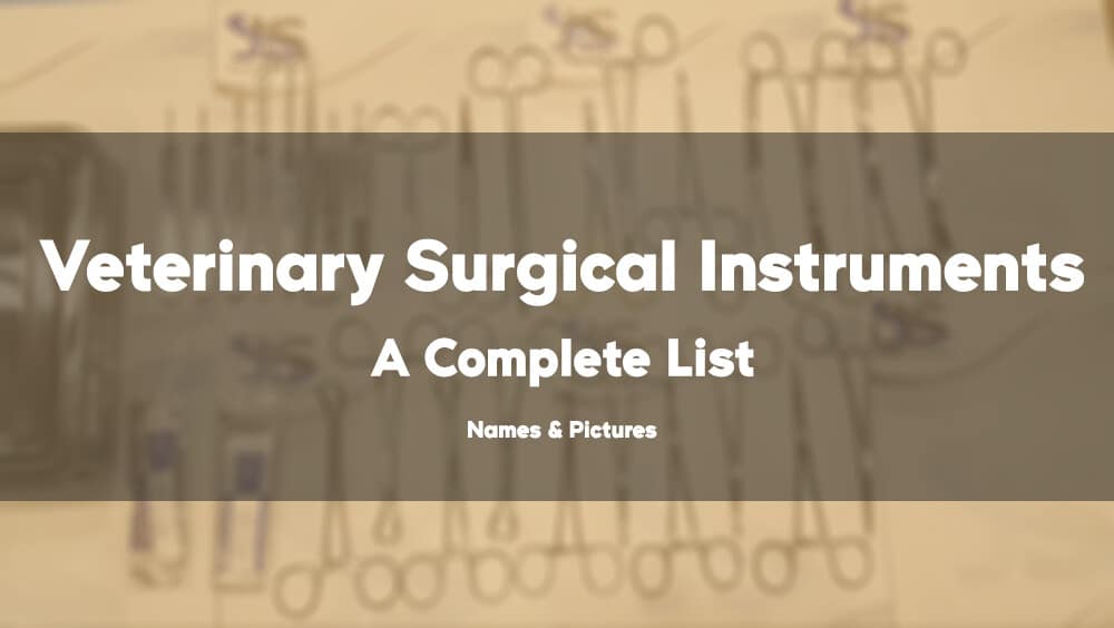 Veterinary Surgical Instruments Names And Pictures: A Complete List, Veterinary Surgical Instruments Pictures And Names Pdf, Veterinary Surgical Instruments Pictures And Names