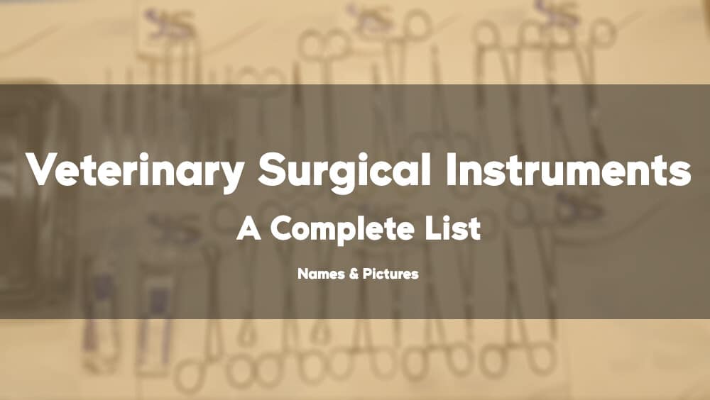 Veterinary Surgical Instruments Names and Pictures: A Complete List, veterinary surgical instruments pictures and names pdf, veterinary surgical instruments pictures and names