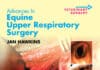 Advances In Equine Upper Respiratory Surgery Pdf Download