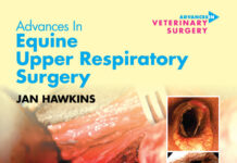 Advances in Equine Upper Respiratory Surgery PDF Download