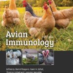 Avian Immunology 3rd edition