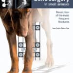 Bone Surgery In Small Animals PDF Download