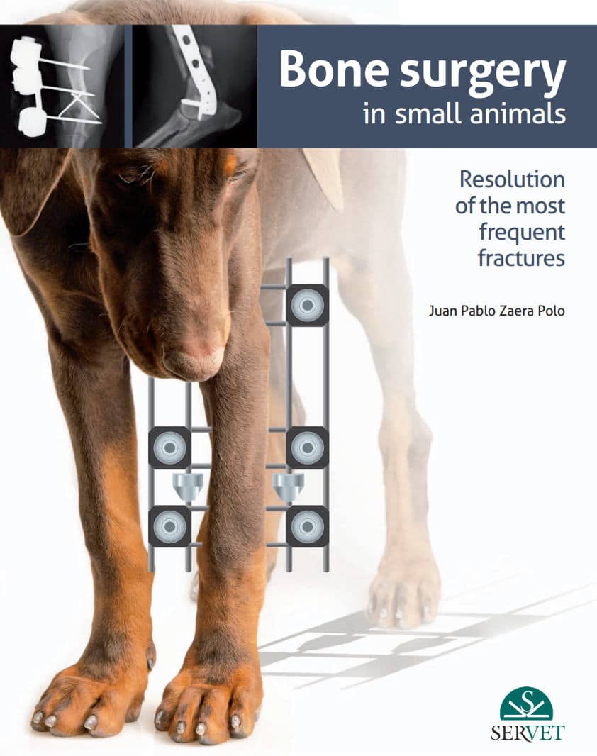 Bone Surgery In Small Animals Pdf Download