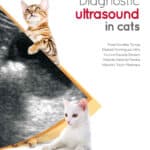Diagnostic Ultrasound in Cats PDF Download