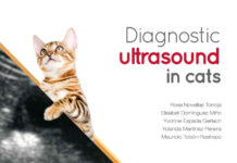 Diagnostic Ultrasound in Cats PDF Download