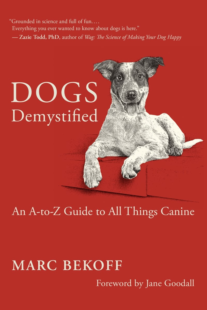 Dogs Demystified: An A-To-Z Guide To All Things Canine Pdf Download