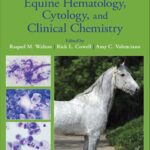 Equine Hematology, Cytology, and Clinical Chemistry, 2nd Edition PDF