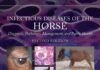 Infectious Diseases Of The Horse: Diagnosis, Pathology, Management, And Public Health, 2Nd Edition