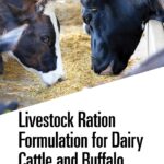 Livestock Ration Formulation for Dairy Cattle and Buffalo